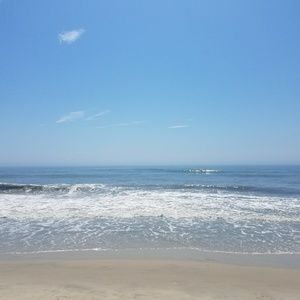 Meet your Posher, Tara